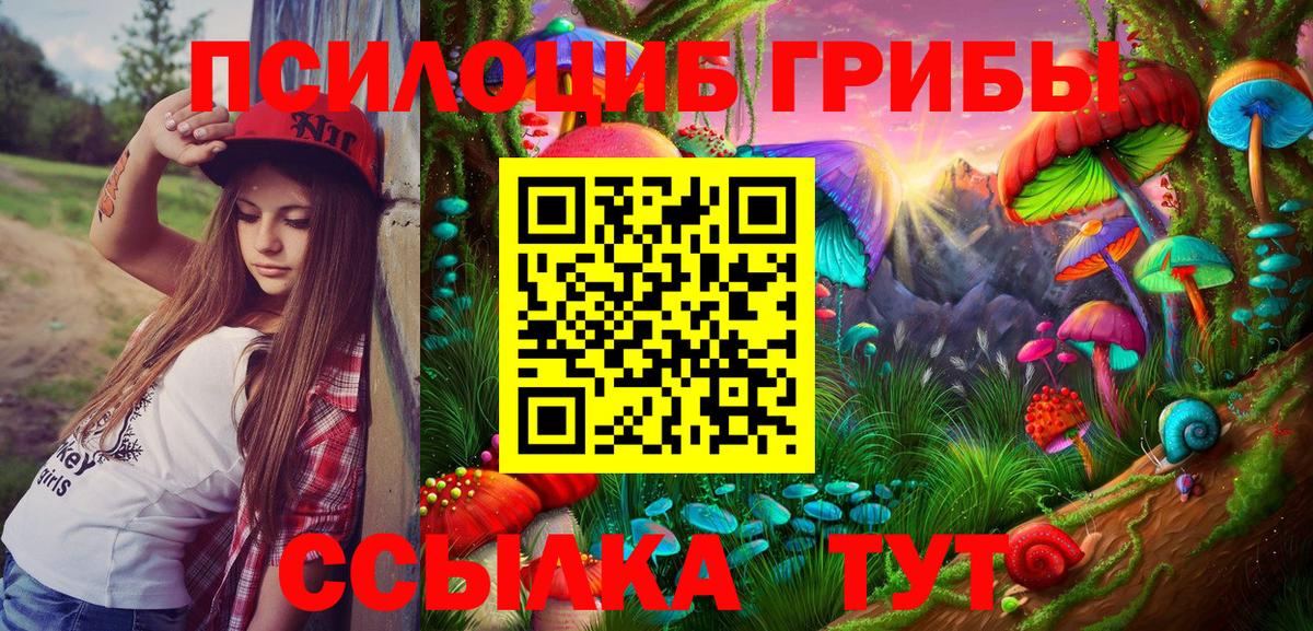 Звенигород  Псилоцибиновые грибы прущие грибы  Вход с VPN 