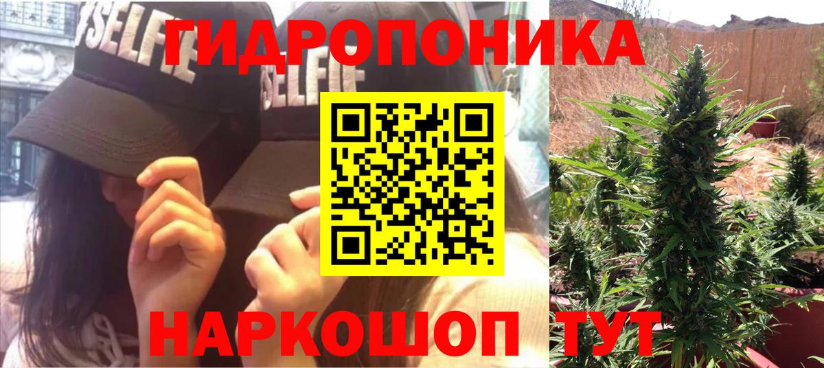 Бошки Шишки семена  Марихуана план  Вход с VPN  Марихуана ГИДРОПОН  Звенигород  МАРИХУАНА LSD WEED 